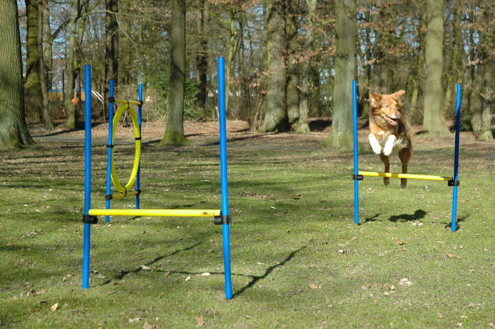 dobar Agility Hürden- und Sprung-Set 3-teilig